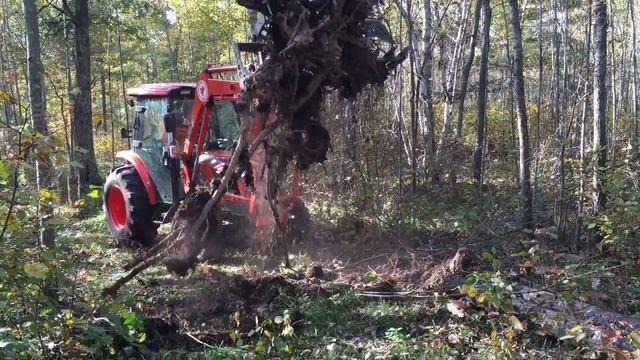 Root Ball Clean Up смотреть онлайн