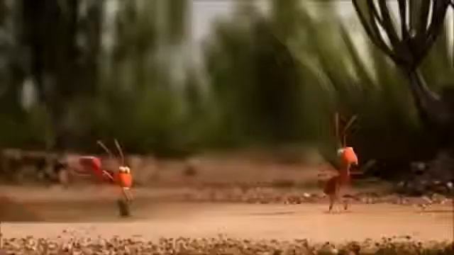 Единство-это сила.Мини мульт смотреть онлайн