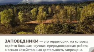 Классный час "Экология нашего дома" во 2 "Б" классе