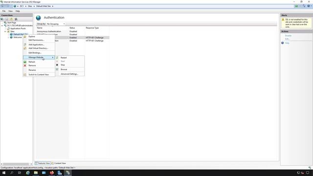 How to setup Website Authentication in IIS on Windows Server 2019 смотреть онлайн