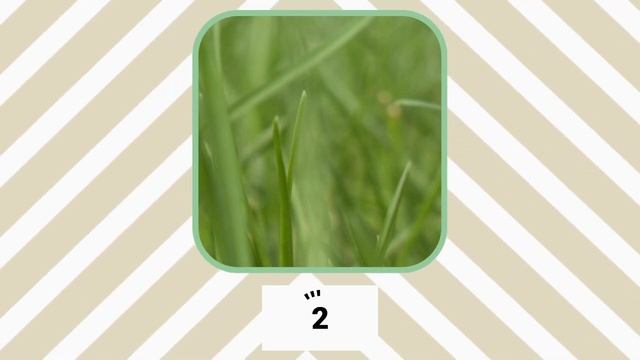 Zoomed-In Picture Puzzles | Can You Guess The Object Game? | Information Brew