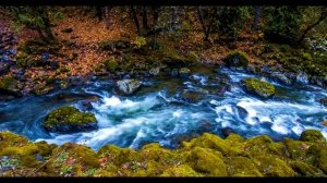 Матрица Гаряева от Депрессии и Апатии 852 Hz Медитация Чувство Любви Духовного Порядка