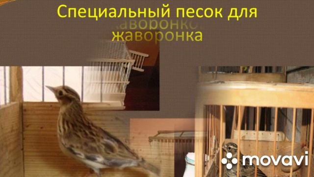 Клетки для птиц смотреть онлайн