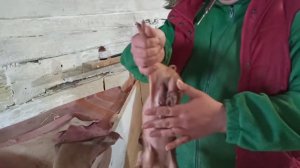 Железо поросятам на третьи сутки обязательная процедура.И ещё одна неприятность.