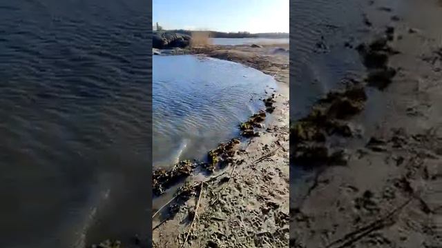 от Джусси ещё один видео привет. пожелаем ей всего хорошего. история Джусси в описании