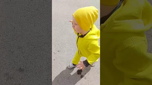 VID_20230721015617.mp4