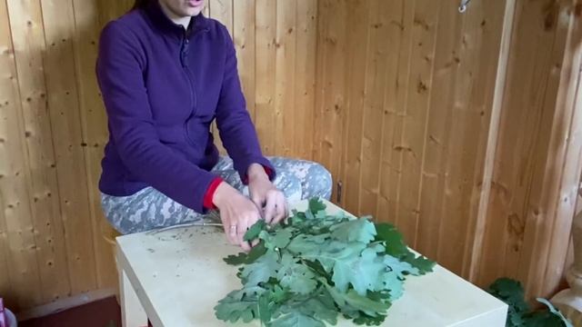 Дубовый веник для бани. Как вязать? смотреть онлайн