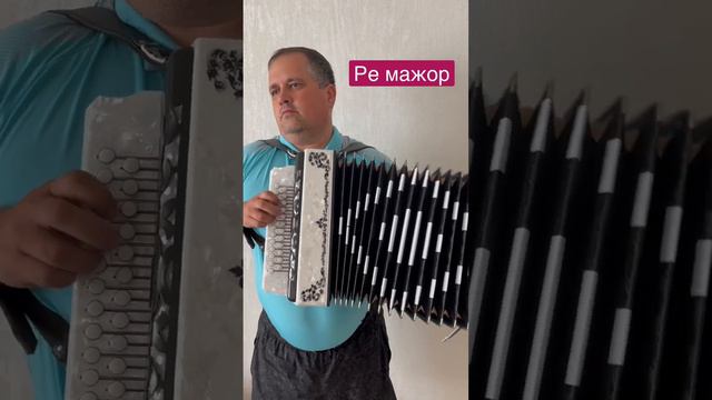Ре мажор шуйская гармонь! #shortvideo #играйгармонь #купитьгармонь #дмитрийгармонист смотреть онлайн