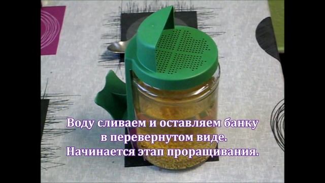 Проростки семян в домашних условиях смотреть онлайн