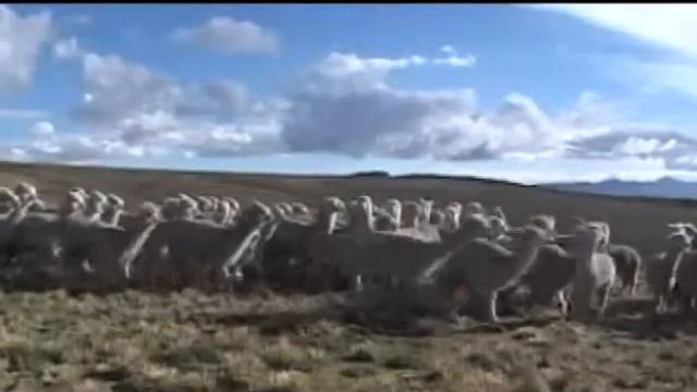 Itessa Institucional EN