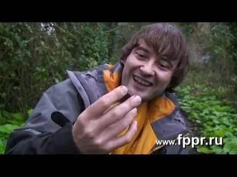 Кладоискательство в Англии и Ирландии смотреть онлайн