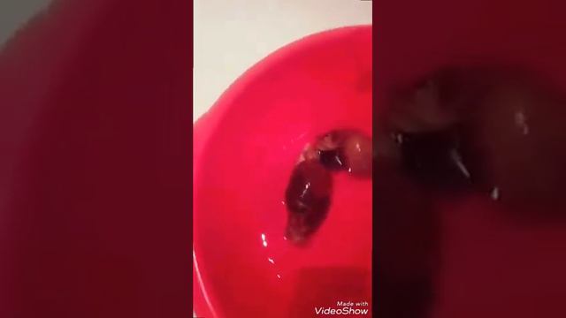 Купание!🐌|Всем Привет!🐌 смотреть онлайн