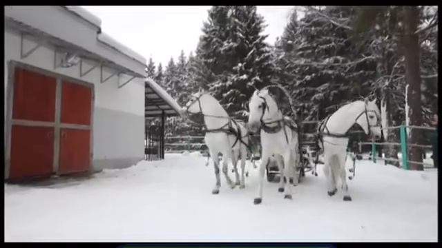 Галилео. Русская тройка смотреть онлайн
