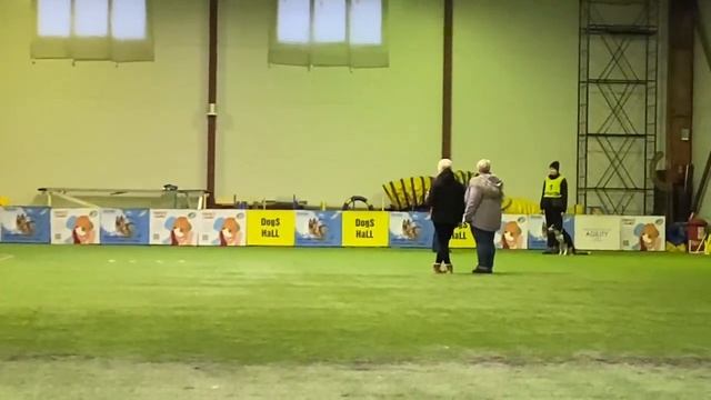 Lumos Solem Vostok - Мако, обидиенс-3 "Рождественские встречи" смотреть онлайн