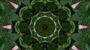 УНИВЕРСАЛЬНАЯ, ИСЦЕЛЯЮЩАЯ, ЗВУКОВАЯ МАТРИЦА ПЕТРА ГАРЯЕВА, НАПРАВЛЕННАЯ НА РЕГЕНЕРАЦИЮ И РОСТ ВОЛОС