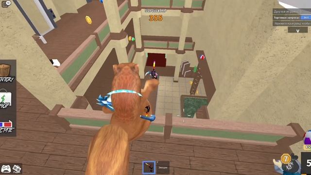 Играем в мм2 в скине белки ?️ #roblox #mm2 смотреть онлайн