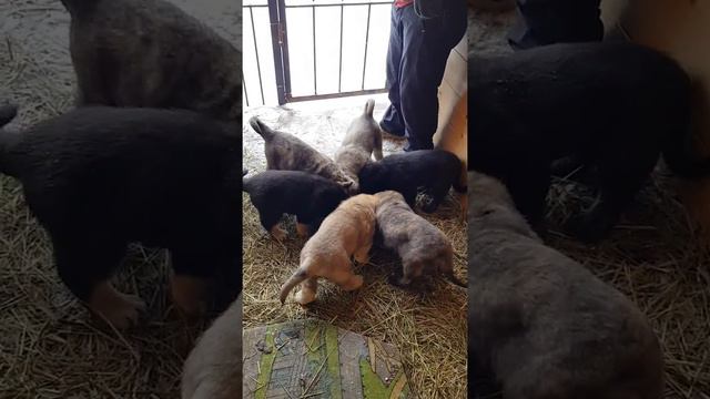 Кто хочет кушать😂😂😂😂