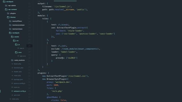 Webpack config inside WordPress смотреть онлайн