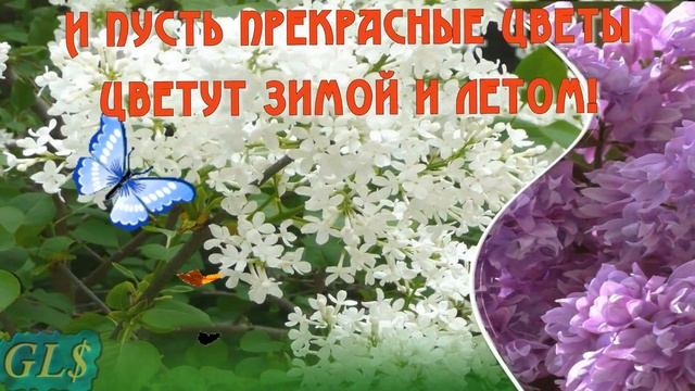 С Днем рождения поздравляем в мае Именинников Happy Birthday Красивое поздравление Видео открытка смотреть онлайн