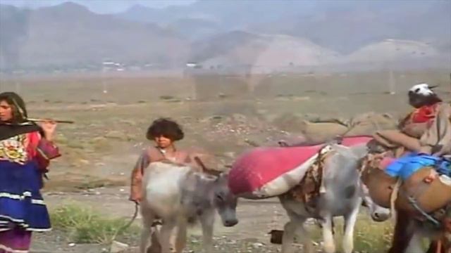 Central Asian Shepherd: Wolf Killer From Central Asia (E04) смотреть онлайн