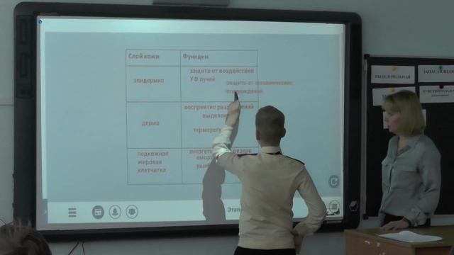 Московская электронная школа. Биология. смотреть онлайн