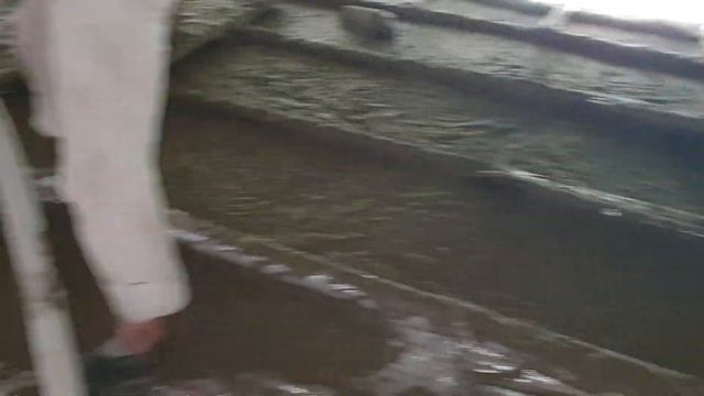 100% Утепление крыши пенобетоном в Алмате с.Гулдала 87772178000