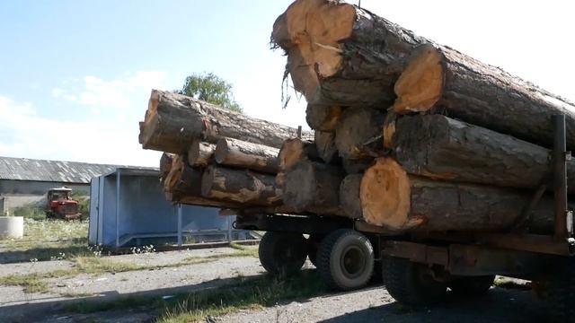 В Карачаево-Черкесии возбуждено два уголовных дела по фактам незаконной рубки лесных насаждений смотреть онлайн