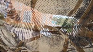 Подготовка к охоте на уток!!! СУПЕР МАСКИРОВКА!!! Нарядили лодку.