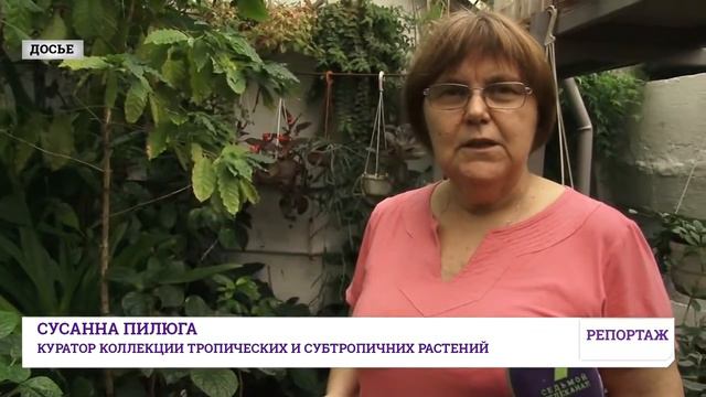 Труханов покрывает стройку возле разрушающейся оранжереи Ботанического сада смотреть онлайн