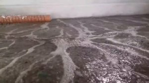 Запуск биофильтра в узв.