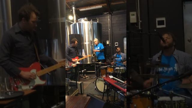 The Sugar Hits playing at Hallertau Brewery Riverhead NZ смотреть онлайн