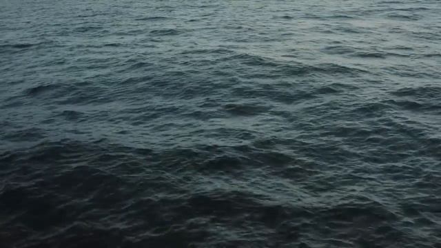 El gran Iceberg bíblico de Reddit (20/20). @Tv-Nauta @Yoshimitsu.Caleon смотреть онлайн