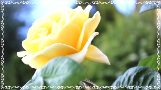 З Днем Ангела Ірина, музичне привітання смотреть онлайн