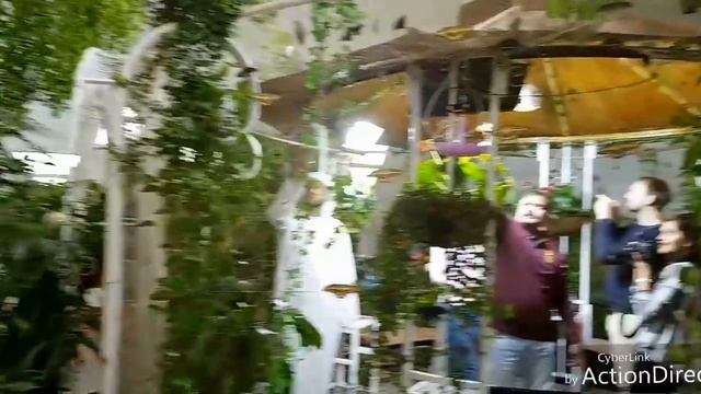 Дубай. Парк Бабочек.