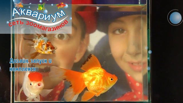 Сеть зоомагазинов Аквариум смотреть онлайн