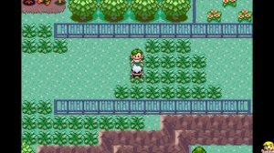 Pokémon Emerald Version HD - Full Game Walkthrough