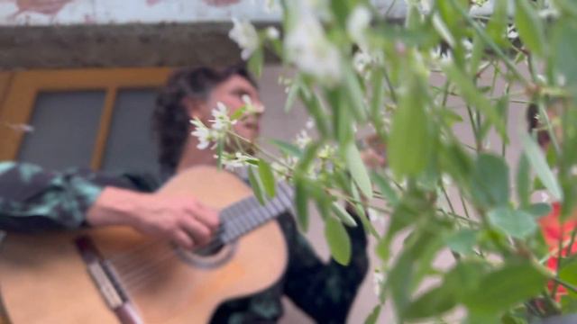 TUYO (Rodrigo Amarante) Ex Solum / Diana Baroni & Gregorio Orozco смотреть онлайн