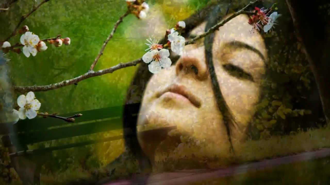 Chris Rea - Looking For The Summer (SR)_x264 смотреть онлайн