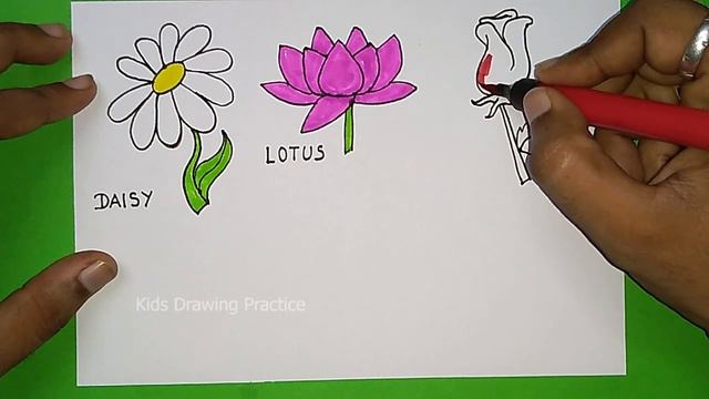 Easy Flowers Drawing | Learn Flowers Names and Drawing | Daisy, Lotus, Rose, Sunflower, Lily смотреть онлайн