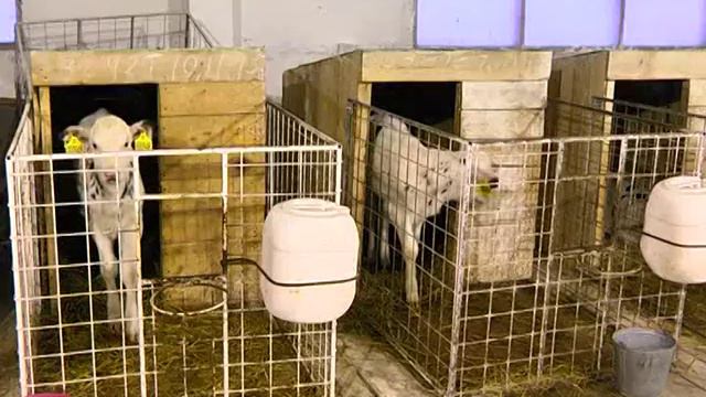 О развитии сельского хозяйства смотреть онлайн