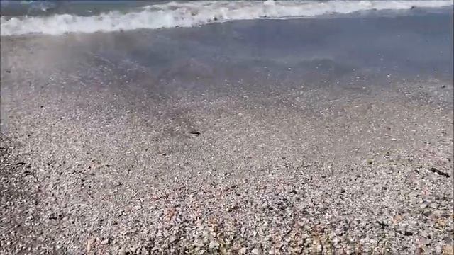 Хайфский залив в середине февраля!Кирьят-Ям.Израиль.Kiryat-Yam.Israel. смотреть онлайн