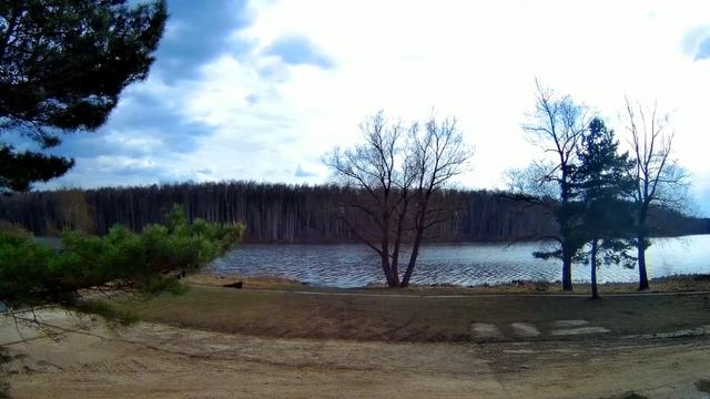 Кардио тренировка на природе. SolovievAtlet смотреть онлайн