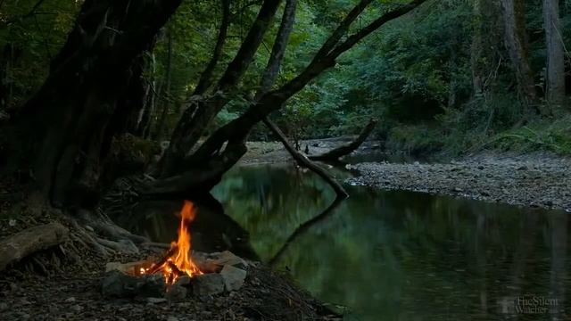 Расслабляющая Музыка и Лёгкие Звуки костра и природы для Сна и Учёбы смотреть онлайн