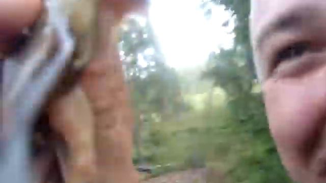 Хибины,лето форель,рыбалка смотреть онлайн