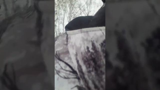 16 января 2022 г. смотреть онлайн