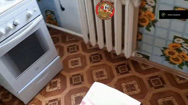 Полезно знать Квартира до и после нашей обработки от клопов и тараканов Дезинсекция Лысьва Чусовой смотреть онлайн