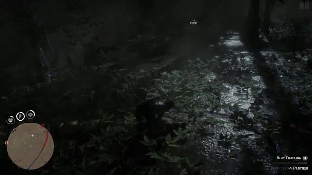BEST PANTHER LOCATIONS - Red Dead Redemption 2 Online смотреть онлайн