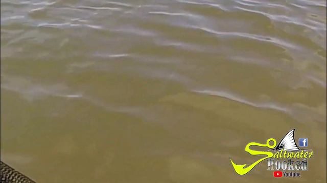 Kayak Fishing Working with Down South Lures in Port Lavaca Tx смотреть онлайн