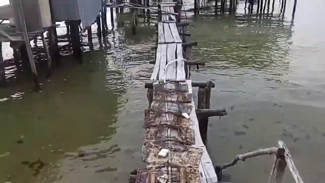 Пляж морских звезд 