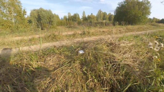 Пруд с карпом и белым амуром ловим малька смотреть онлайн